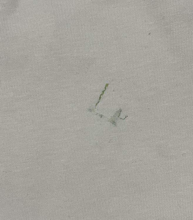 CCD07929-AD4C-41C9-9240-038B5A191547.jpeg